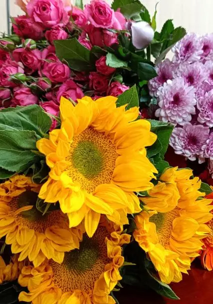 杭州顾连通济医院举办“5.12护士节”系列主题活动 杭州顾连通济医院举办“5.12护士节”系列主题活动
