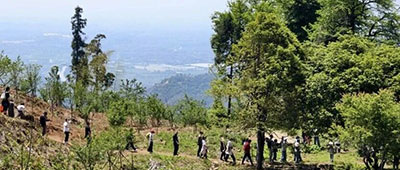 【暂别白袍，山野相逢】——杭州顾连通济医院东明山团建纪实